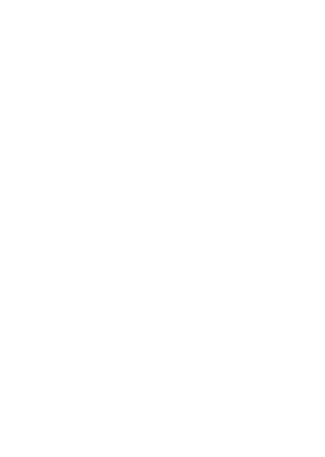 light logo